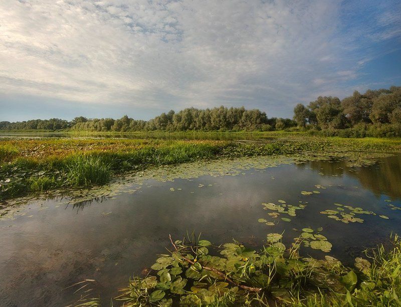 десна Про Деснуphoto preview