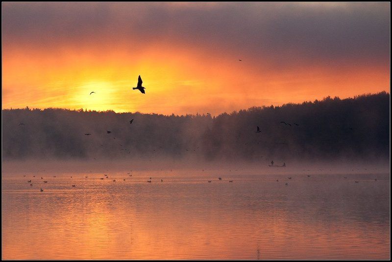 рассвет, который был сегодняphoto preview