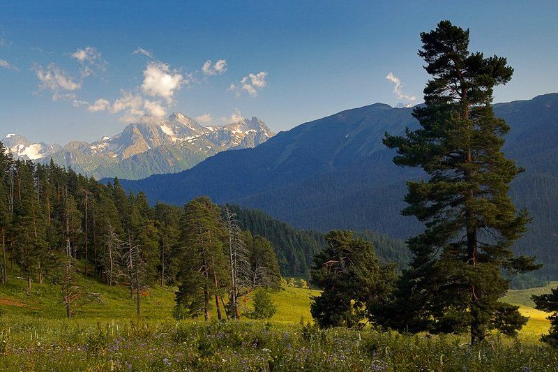 архыз Долина Архызаphoto preview