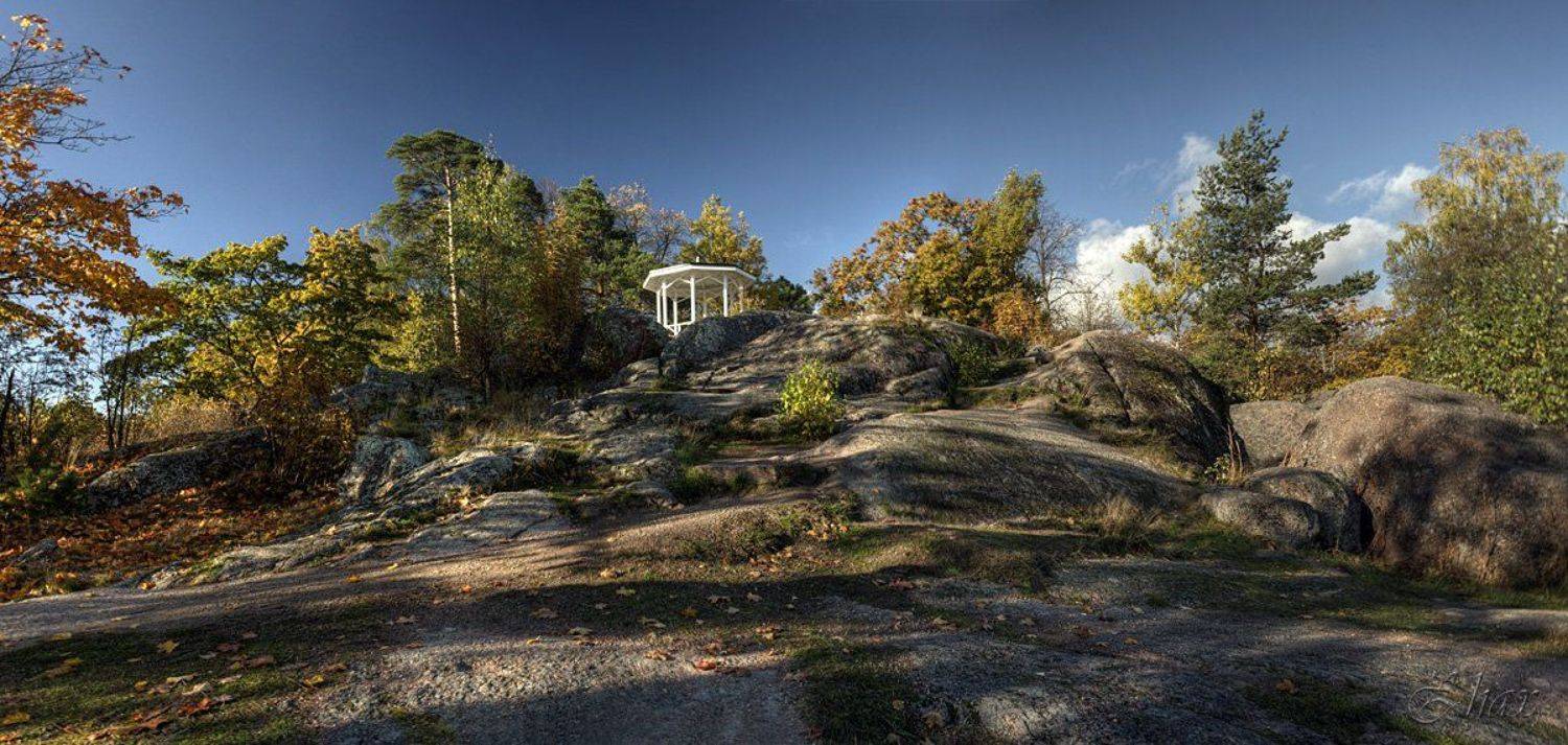 ... и на камнях растут деревья.. Автор: Малыш выборг, монрепо, осень, пейзаж, природа, Малыш