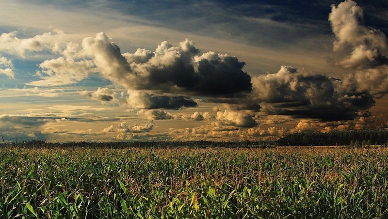 nad kukuruznom polem..photo preview