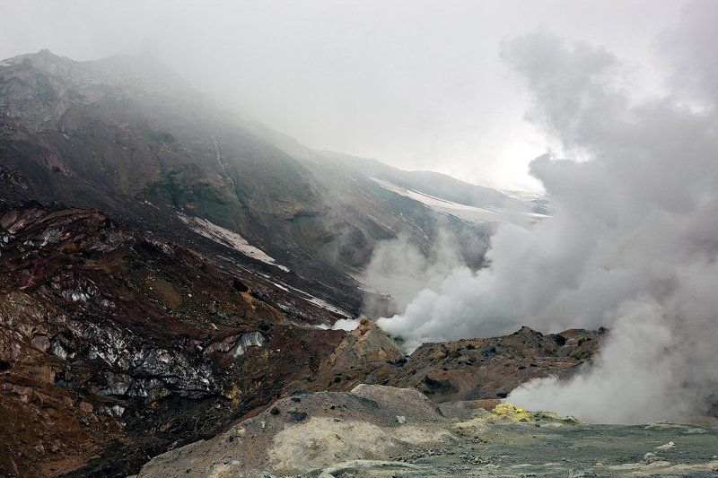 Земля молодаяphoto preview