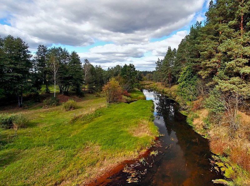 пейзаж Полесьеphoto preview