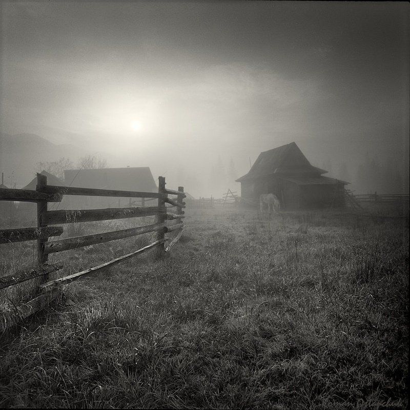 светало... photo preview