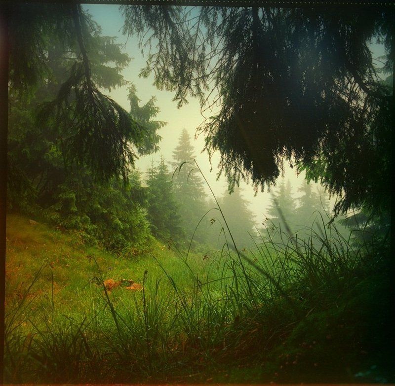 в сказку попал:)photo preview