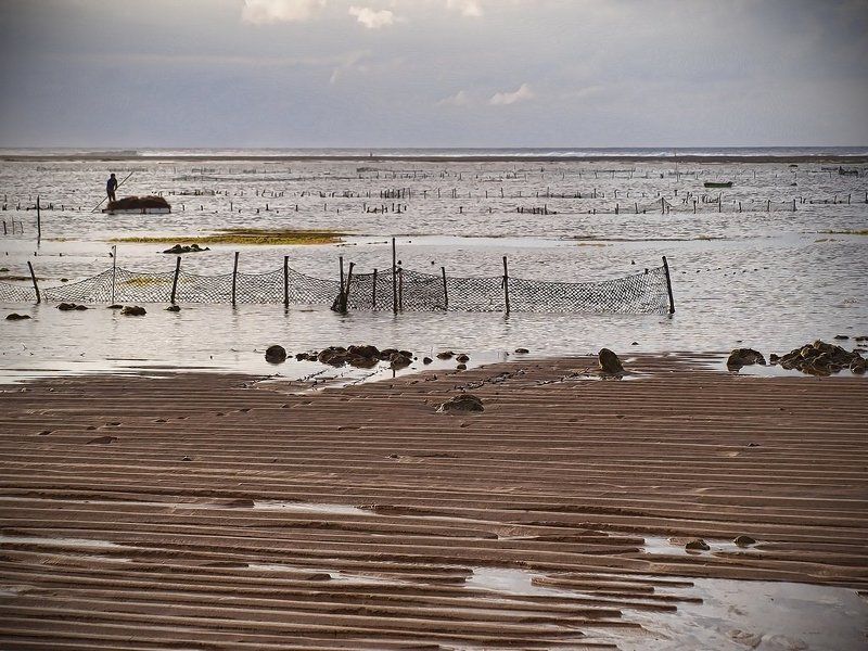 урожай Сбор урожаяphoto preview