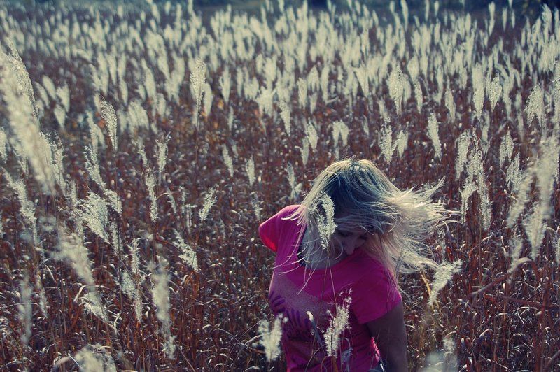 голос высокой травы...photo preview