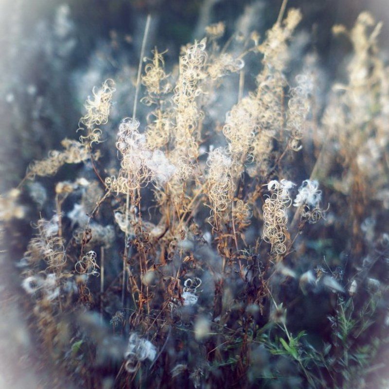 Кружеваphoto preview