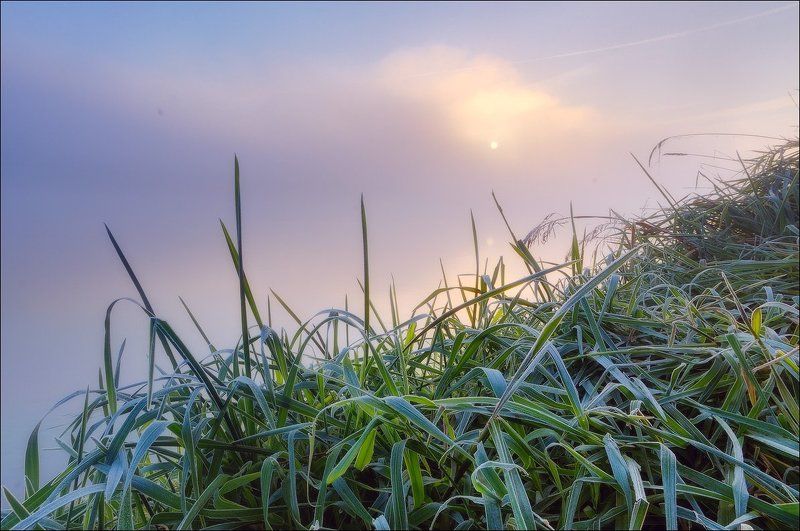 Туманным утром у рекиphoto preview