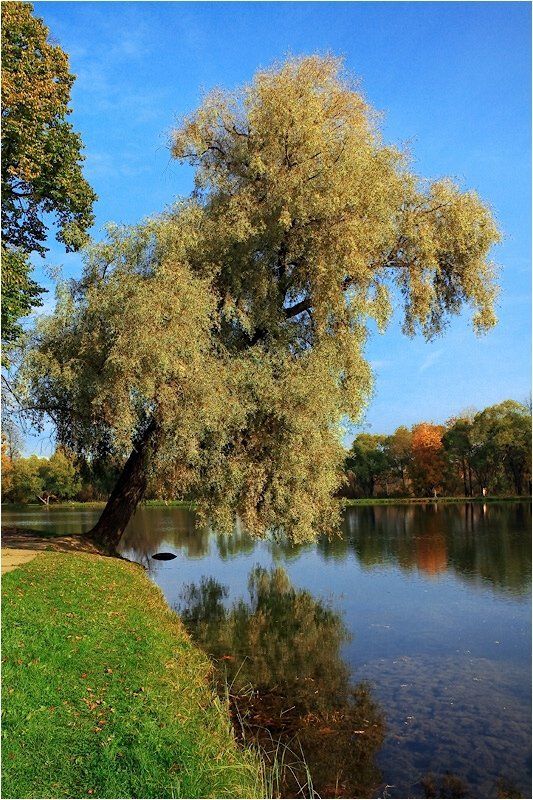 осень,озеро, Осеньphoto preview