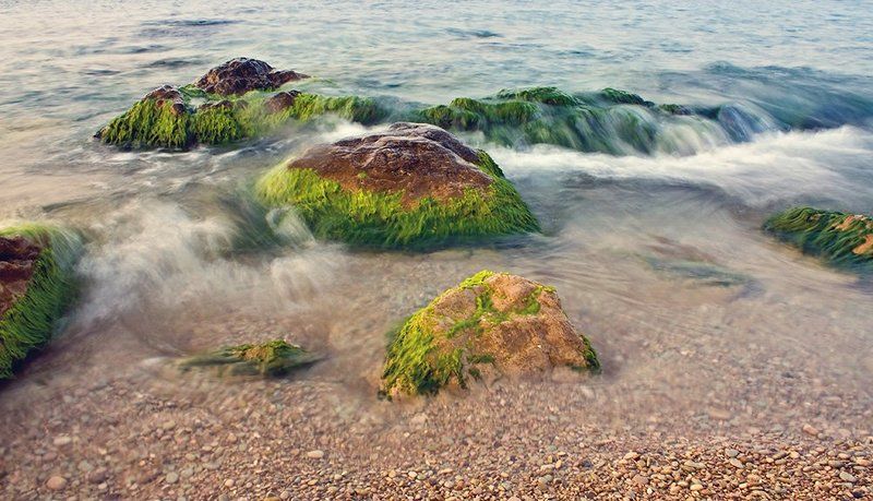 Stone & Waterphoto preview