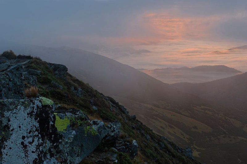 первый светphoto preview