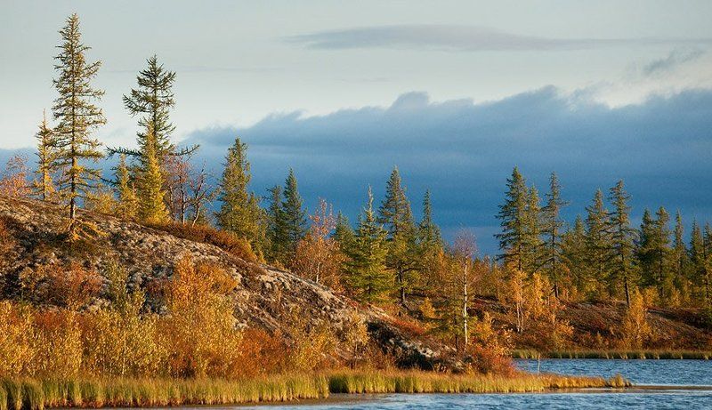 природа, север, осень, пейзаж краски северной осениphoto preview