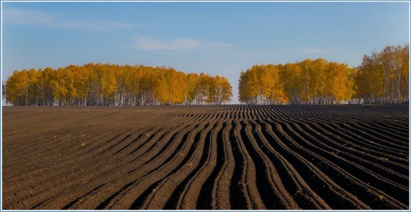 Параллели.photo preview