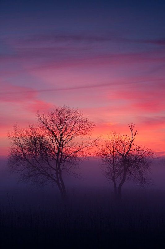 faniz, lefa, фаниз, ленчик Где-то ёжики в тумане пропадалиphoto preview