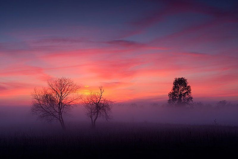 faniz, lefa, фаниз, ленчик В тумане ёжик пропадалphoto preview