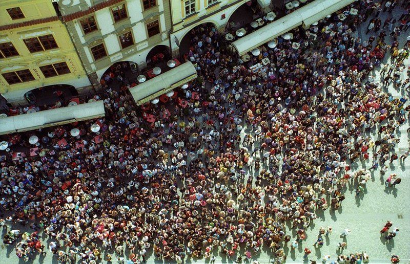 Ant Colonyphoto preview