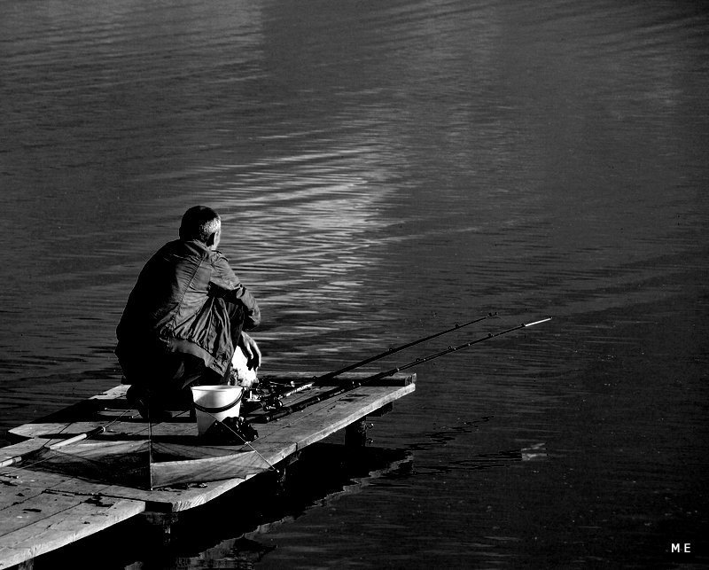 в поисках золотой рыбкиphoto preview