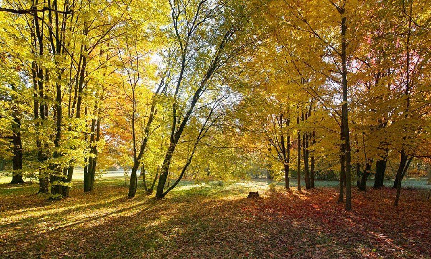 , Вадим Казаков