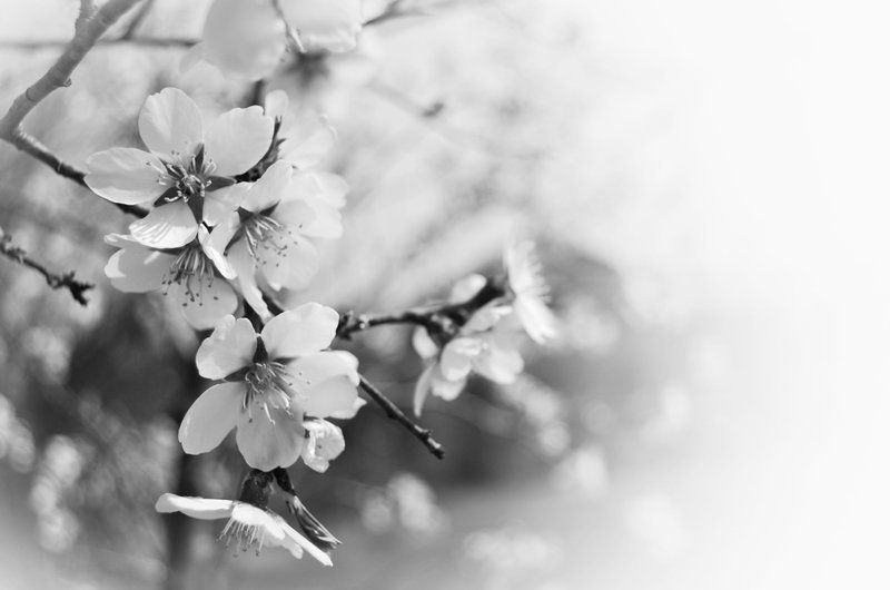 и такая веснаphoto preview