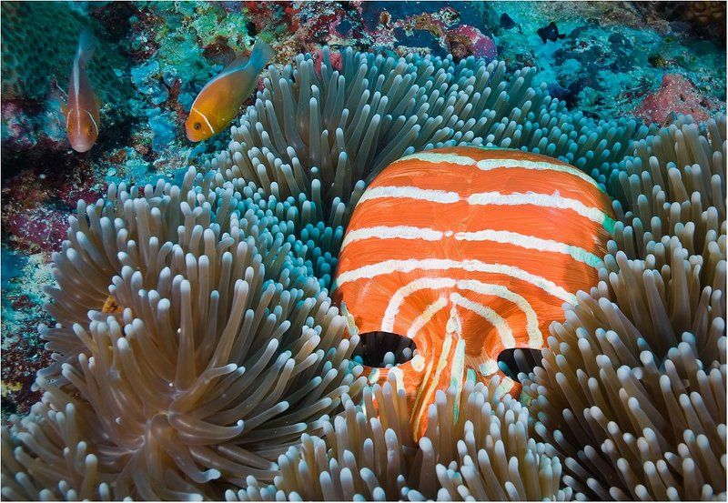 Мы не одниphoto preview