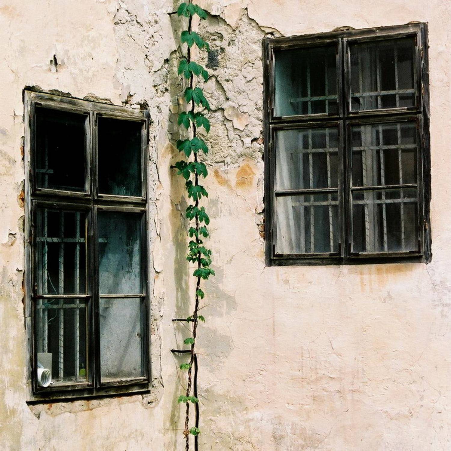 #|#. Автор: Игорь Филипенко , Игорь Филипенко