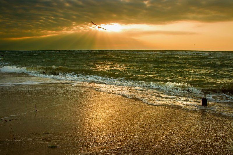 На встречу к солнцу...photo preview