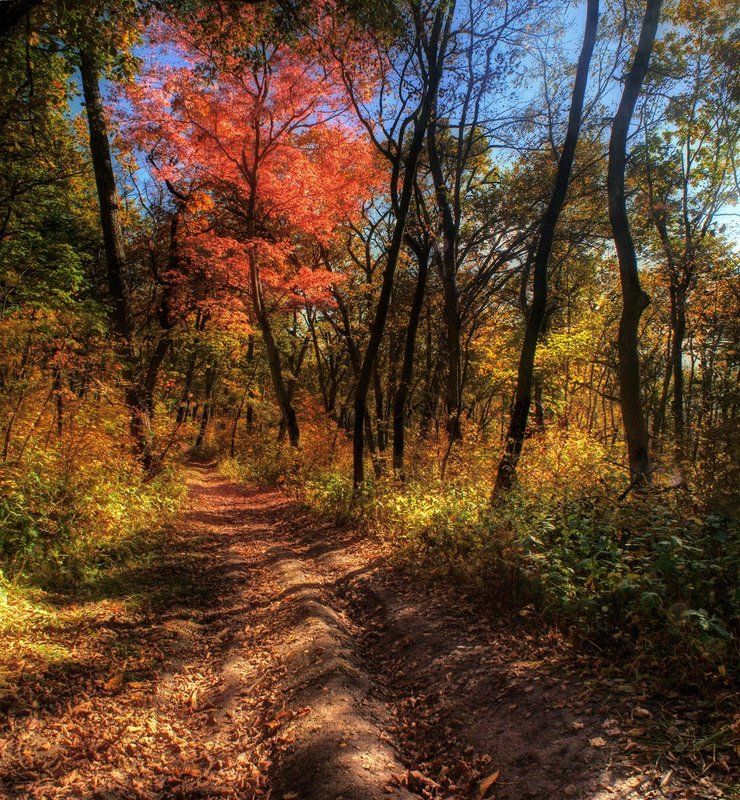 бабье лето продолжается !  :)photo preview