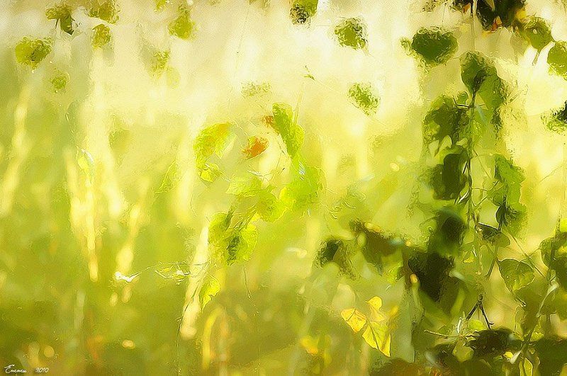 блики, зарисовка, свет, ветка, листья, рисунок блики..... фото превью