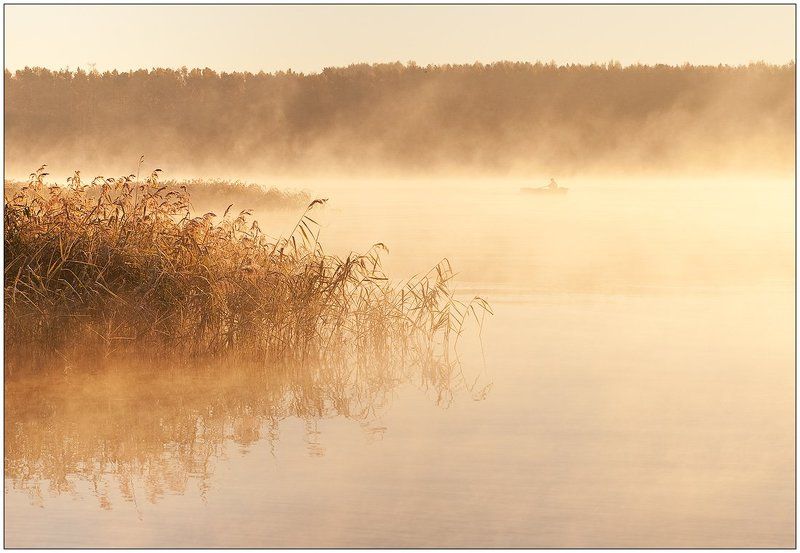золотой рассветphoto preview