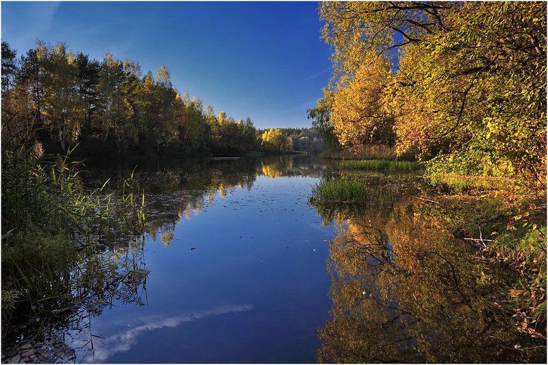 Осенняяphoto preview