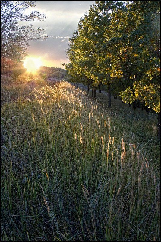 В лучах закатаphoto preview