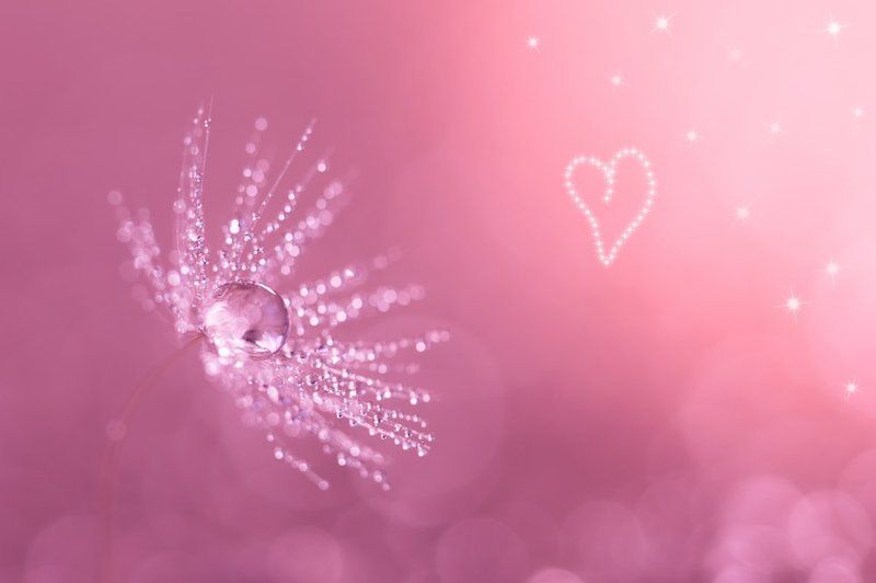 Романтичная пушинкаphoto preview