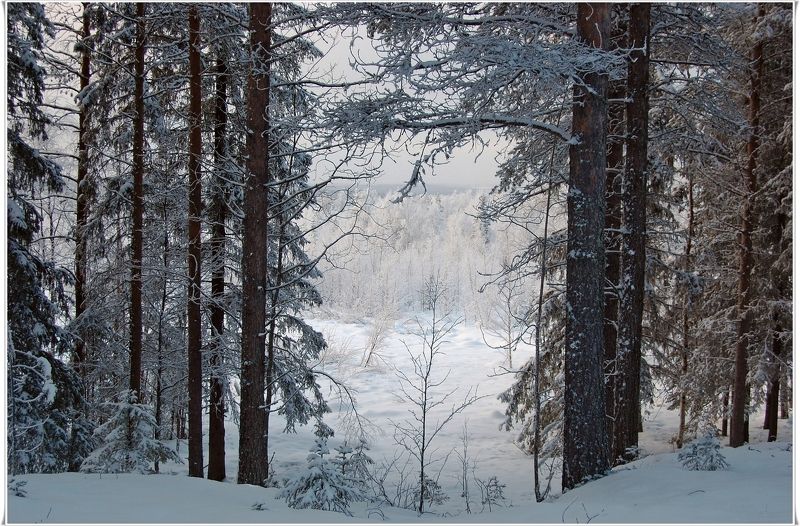 Приглашение в зимуphoto preview