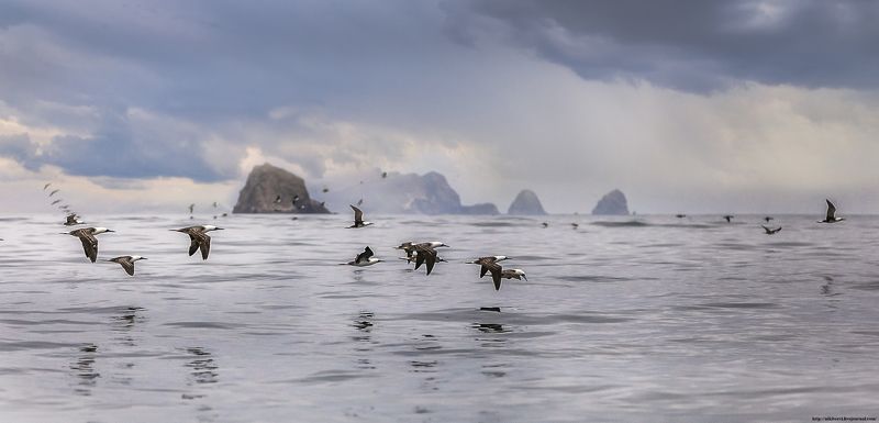 Перу, рыбалка, океан, облака, путешествия, шторм Перуанские рыбакиphoto preview