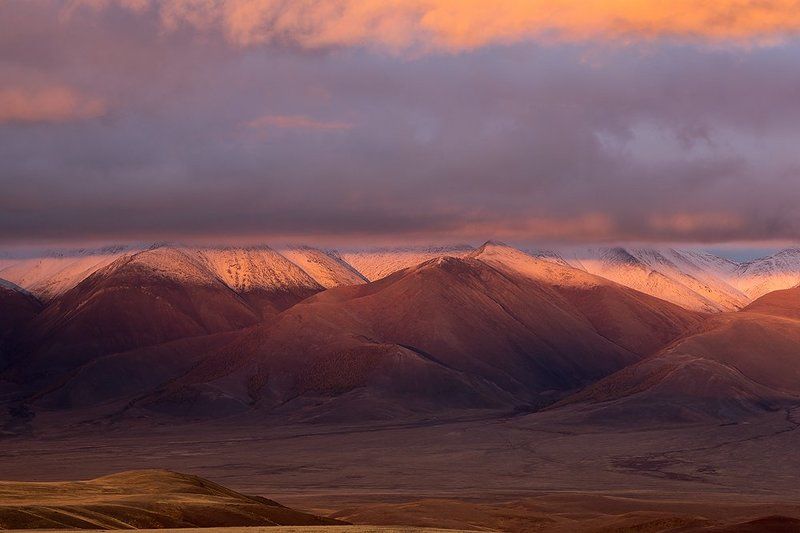 В закатном свете.photo preview