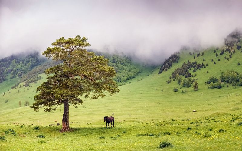 Умиротворение...photo preview