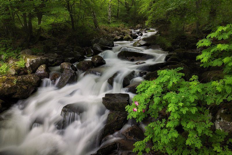 река Владайскаphoto preview