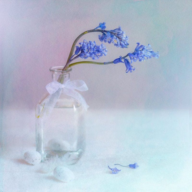 натюрморт, колокольчики, бутыль, лента, акварельное С колокольчикамиphoto preview