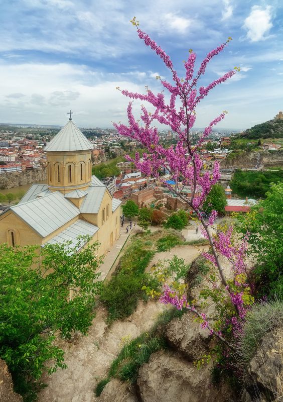 Окрестности крепости Нарикалаphoto preview