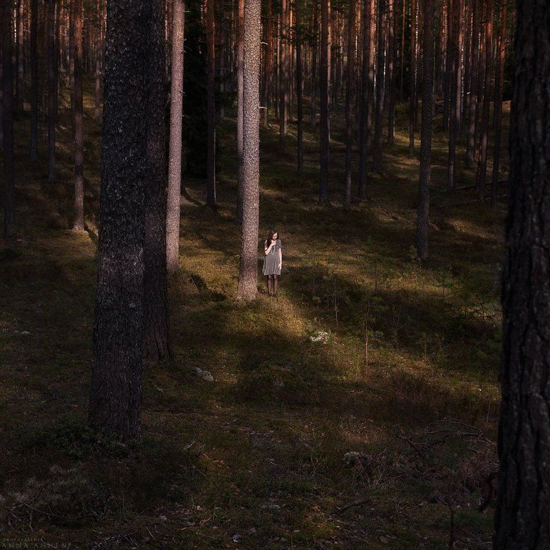 портрет, женский портрет, природа, forest, пленер, девушка, woman, nature, лес, portrait Сосныphoto preview