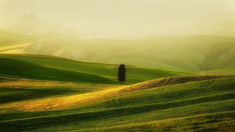 Toscanaphoto preview