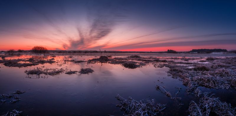 Утренняя кометаphoto preview