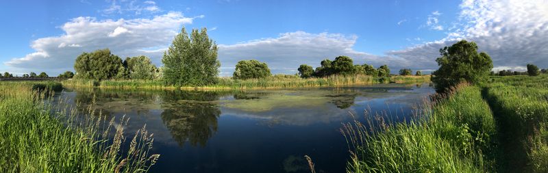 Июньскаяphoto preview