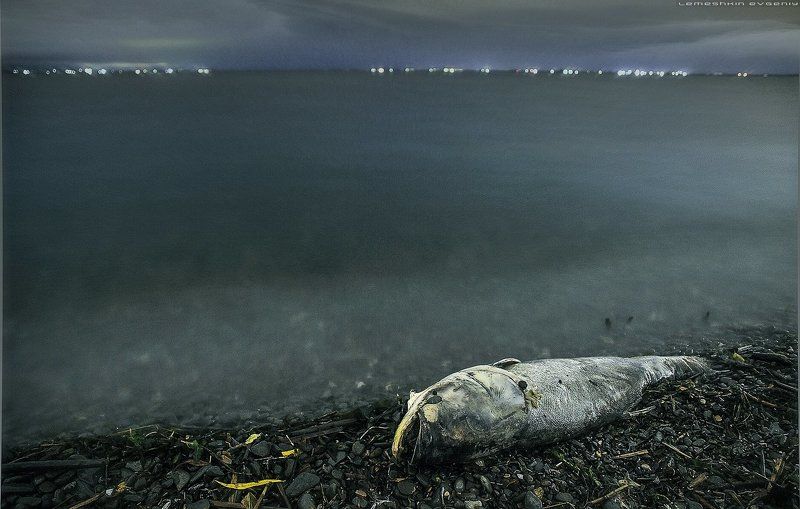 Приплыли..photo preview