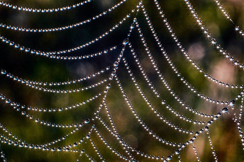 Ожерельеphoto preview