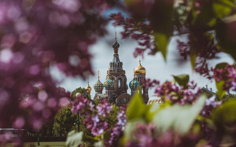 Mars field of Saint-Petersburg.photo preview