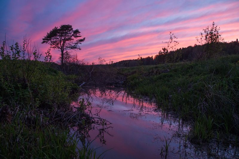 карелия, закат, болото Вечерняя Карелияphoto preview