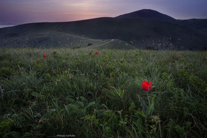 маркотхский хребет, маркотх, кавказ, большой кавказ, краснодарский край, кабардинка, геленджик, новороссийск Маркотхский Хребетphoto preview