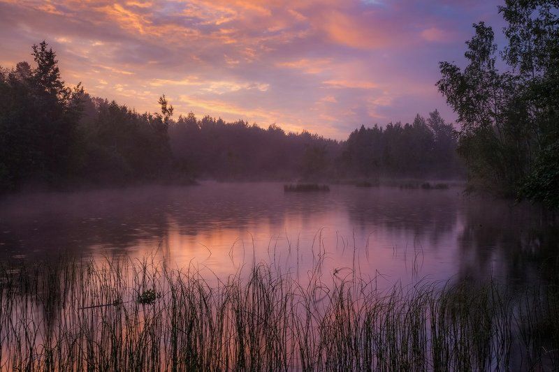 рассвет, озеро, утро, дождь Таинство рассветаphoto preview